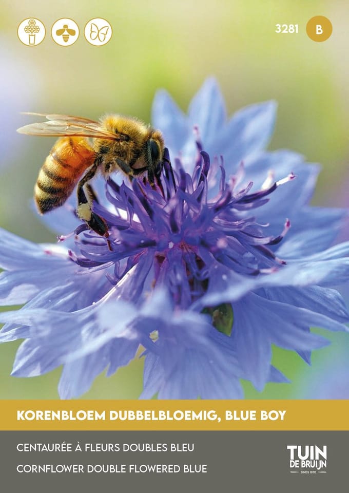 Tuin de Bruijn Korenbloem Blue Boy – 1500 Zaden – Snijbloem