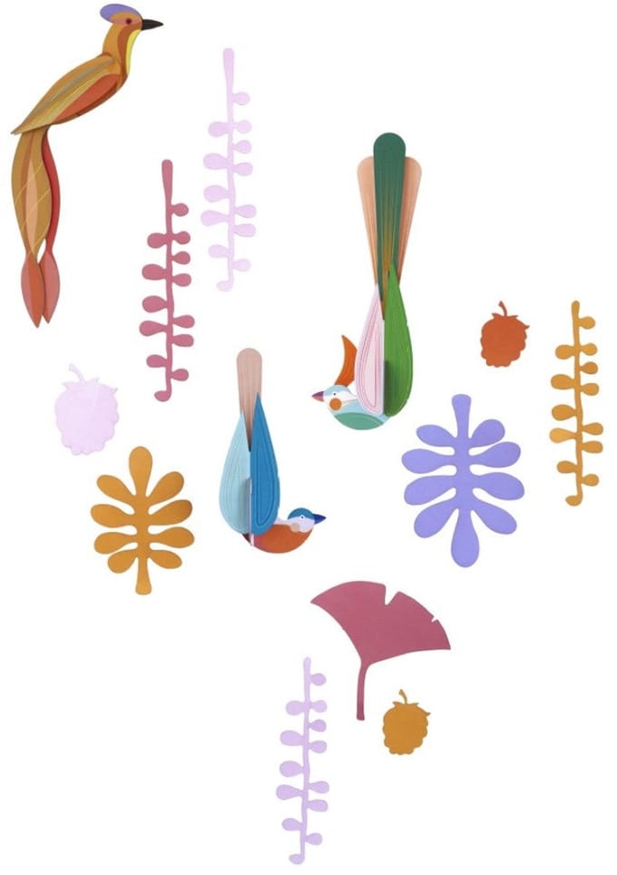 Wall of Curiosities - Paradijs Nest