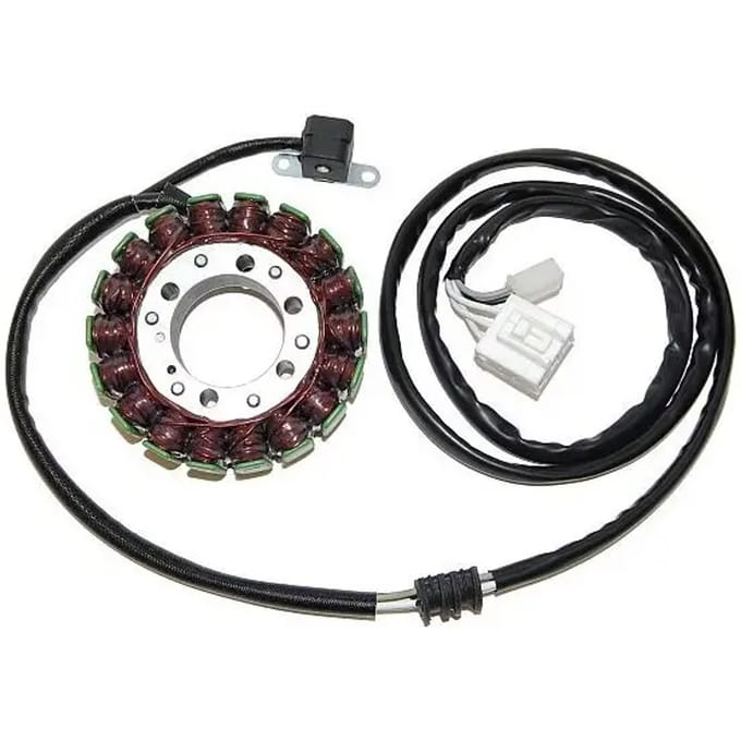 Originele aanpasbare motor dynamo Electrosport Yamaha