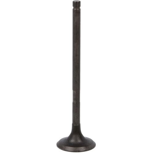 Uitlaatklep AE V94694