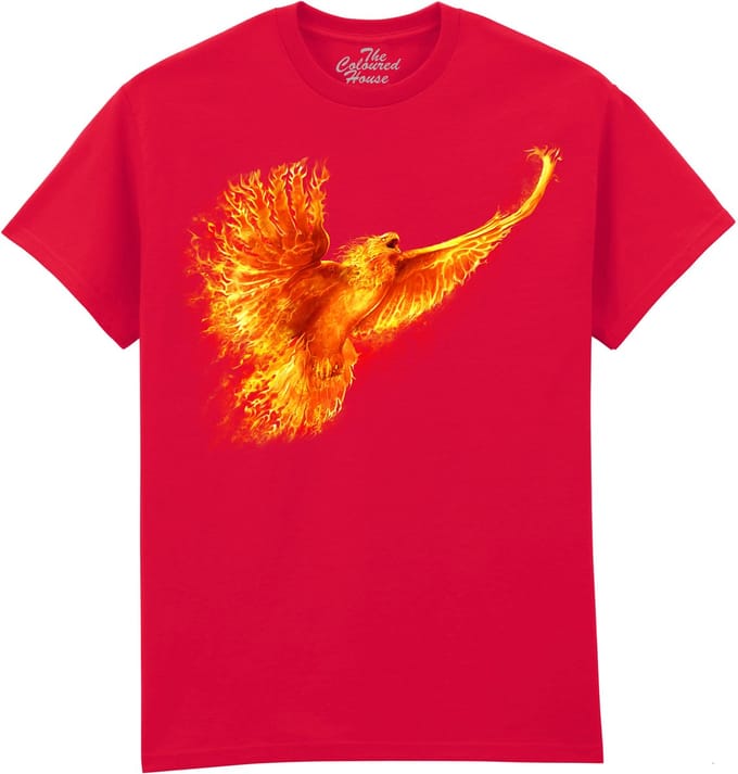 Phoenix Rising The Coloured House T-shirt M