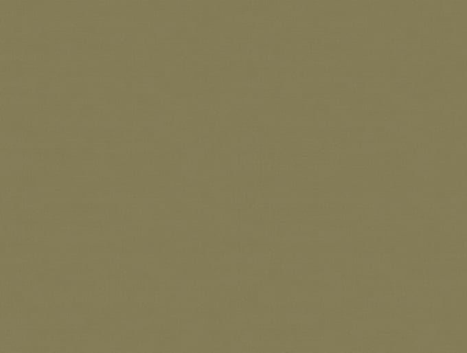 Zambaiti Vinylbehang Z54514 - Fuksas - Uni Groen - 70cm x 10.05m