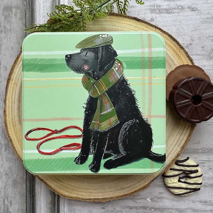 Alex Clark Large Square Tin Hat and Scarf ~ Vierkant opbergblikje hond