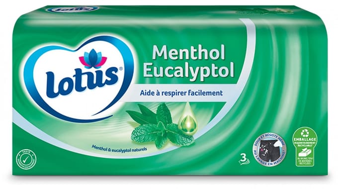 Lotus Menthol Eucalyptol Doos van 72 Zakdoekjes