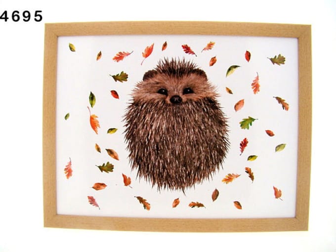 Leonardo Collection schootkussen egel, 44 x 34 x 8 cm