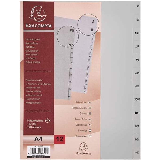 Exacompta Tabbladen met bedrukte tabs in gerecycled PP - 12 tabs - januari/december - A4 - Grijs - 1812E