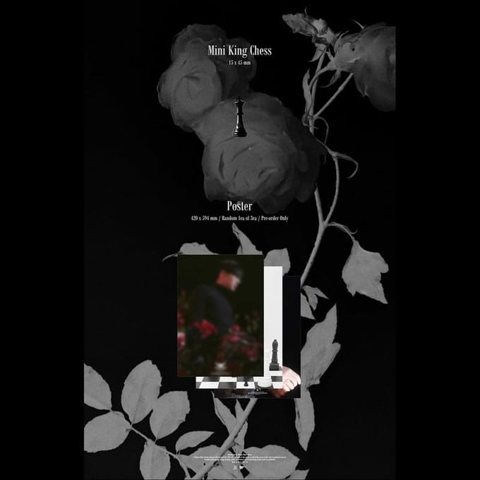 RAVI [LOVE & FIGHT] 2e Album No poster brown