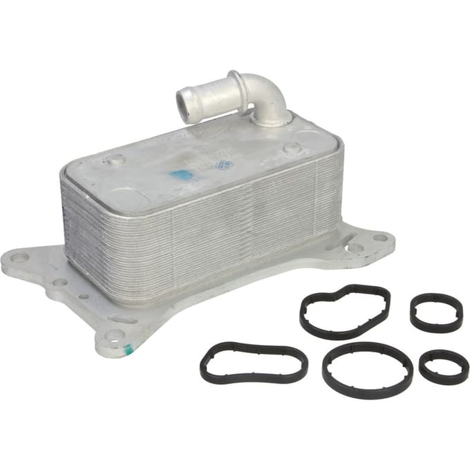 Olie radiator, motorolie THERMOTEC D4M017TT