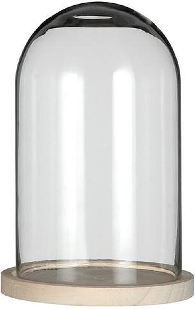 Glazen Stolp op Houten Plateau - Transparant - H21 x Ø14 cm