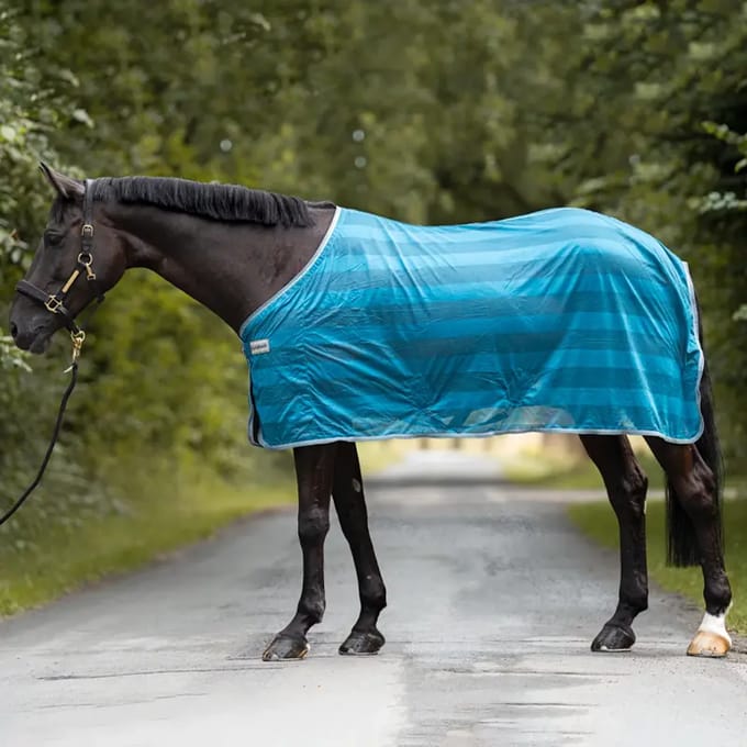 Paardenvliegendeken Kavalkade Stripe