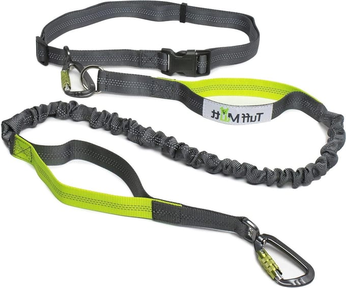 Handsfree Hondenriem - Loopriem Heup - Wandelen en Rennen - Dubbele Handgreep - Verstelbaar Elastisch - Groen