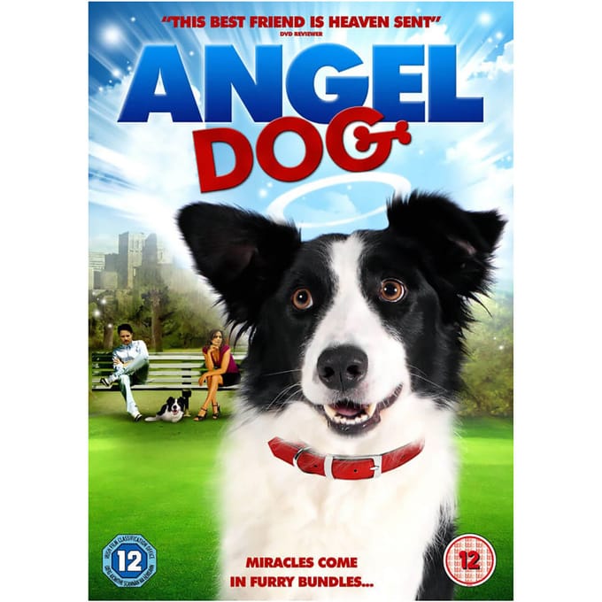 Angel Dog