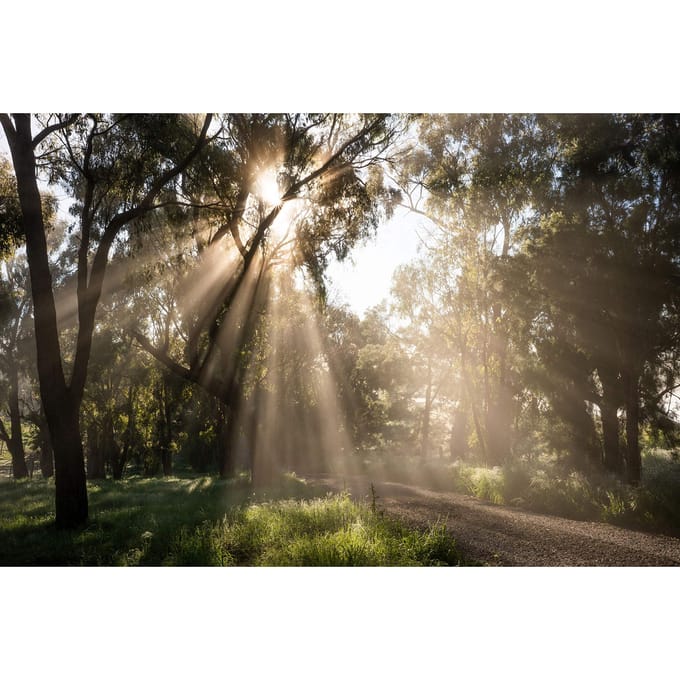 Tamron 35mm f/2.8 Di III OSD M1:2  Sony FE-vatting