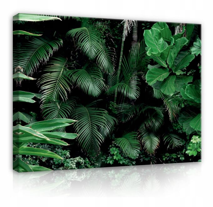 WALLARENA - Canvas schilderij - 60x40 cm - Groene bladeren jungle