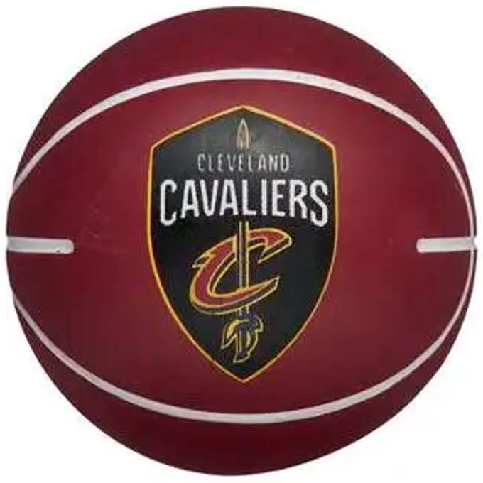 Wilson NBA Team Dribbler Stuiterbal - basketbal - bruin