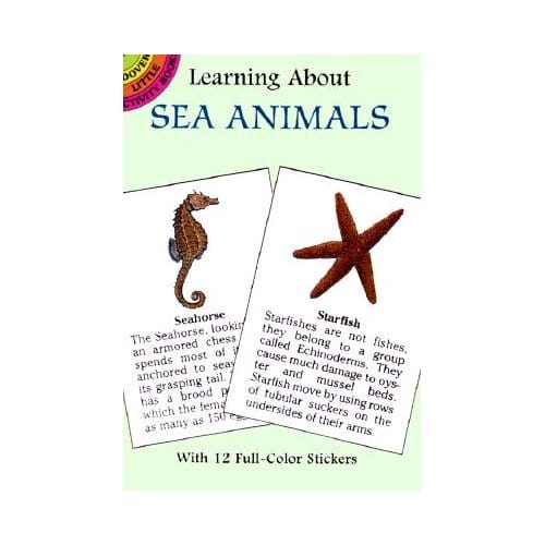 Learning About Sea Animals - Barlowe, Sy