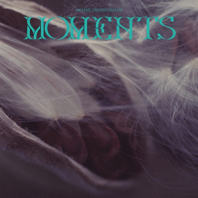 Michael Vincent Waller - Moments (CD)