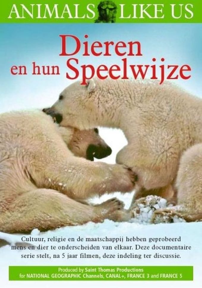 Dieren En Hun Speelwijze (DVD)
