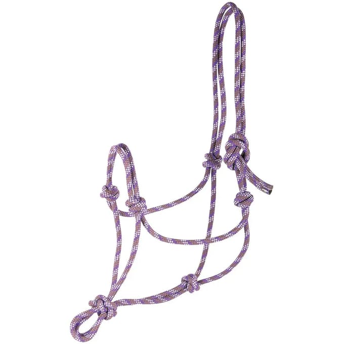 Paarden halster Harry's Horse