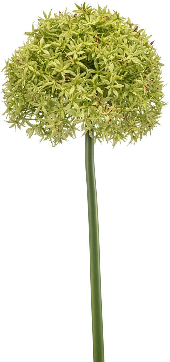 Emerald - Kunstbloem Allium XL groen 90cm - Kunstplant voor binnen