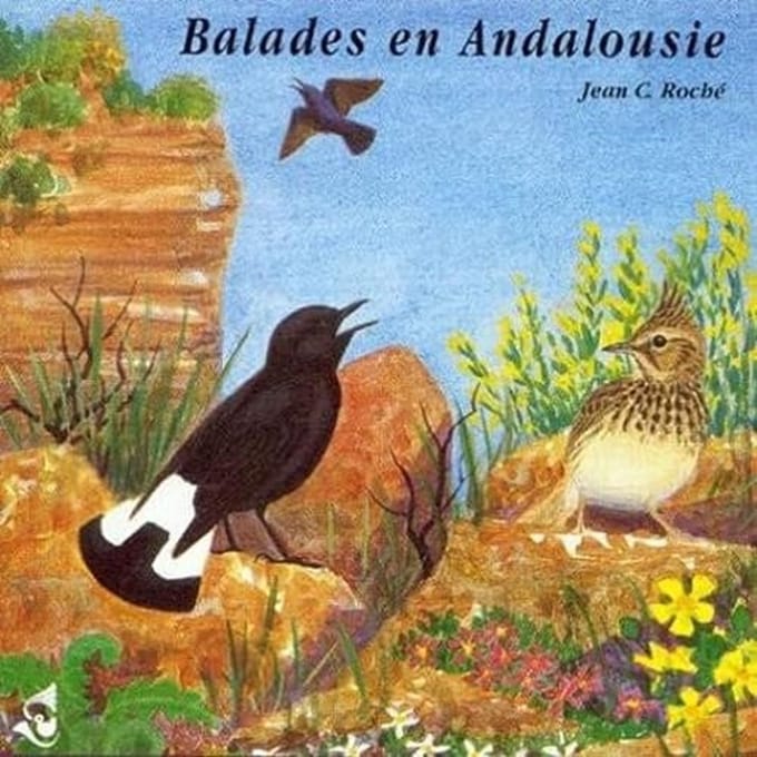 Various Artists - Balades En Andalousie (CD)