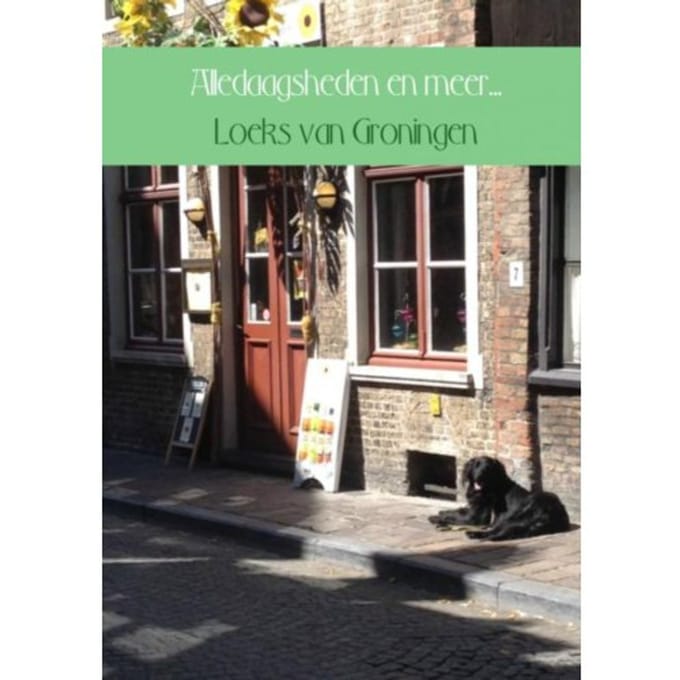 Alledaagsheden En Meer... - Loeks van Groningen