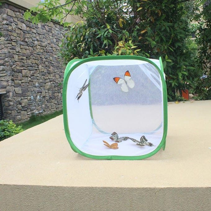 Grande cage d'élevage pliable, portable, durable et ventilée pour papillons Type 1 gray