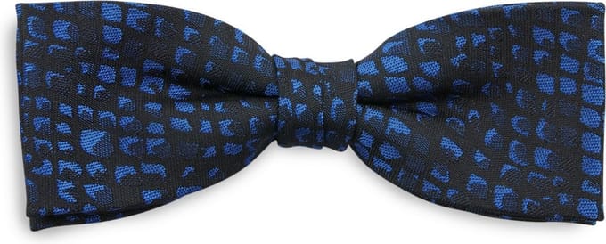We Love Ties - Strikken - Strik Sammy Snake - zwart / kobaltblauw