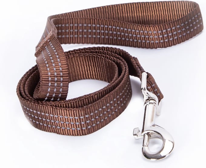 Nobleza Reflecterende Hondenriem - Nylon - 120 cm - Bruin