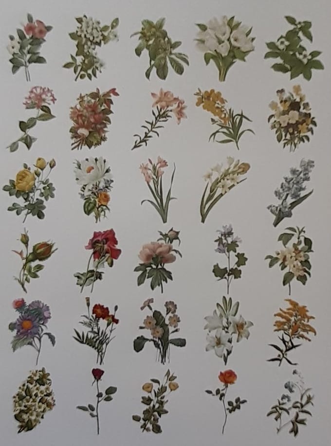 Go Go Gadget - Washi stickers - Bullet journal - Junk journal - Scrapbook - 1 set van 60 stuks - Bloemen - Multi kleur