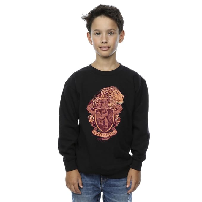 Harry Potter Jongens Gryffindor Schets Crest Sweatshirt (Zwart)