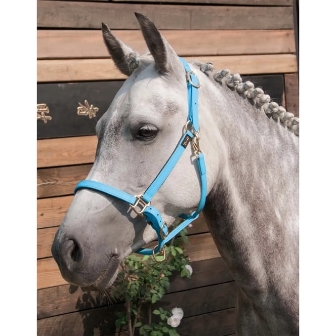 Halster voor paarden T de T Biotack®