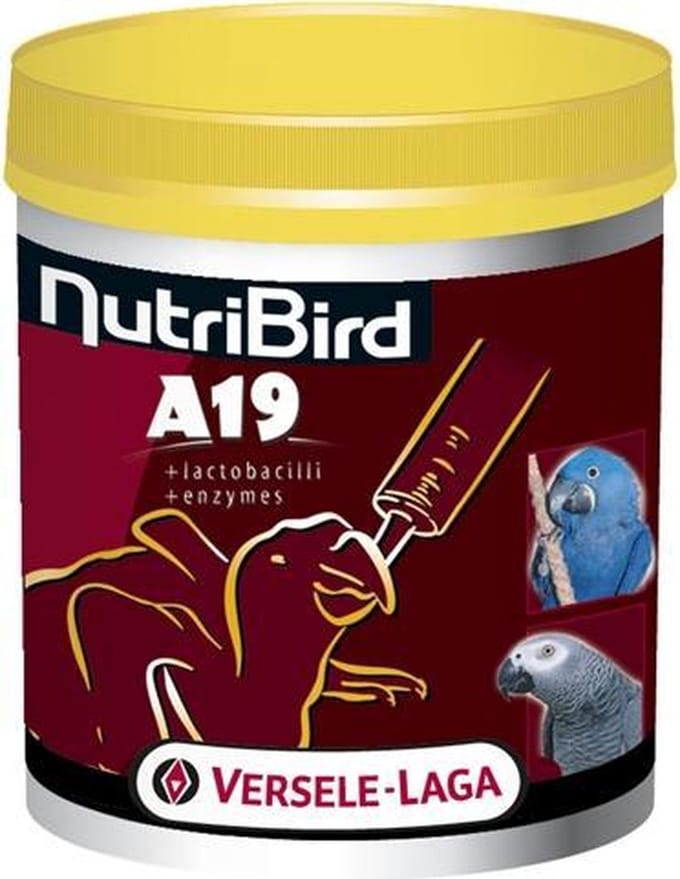Nutribird a19 papegaai - 800 gr - 1 stuks