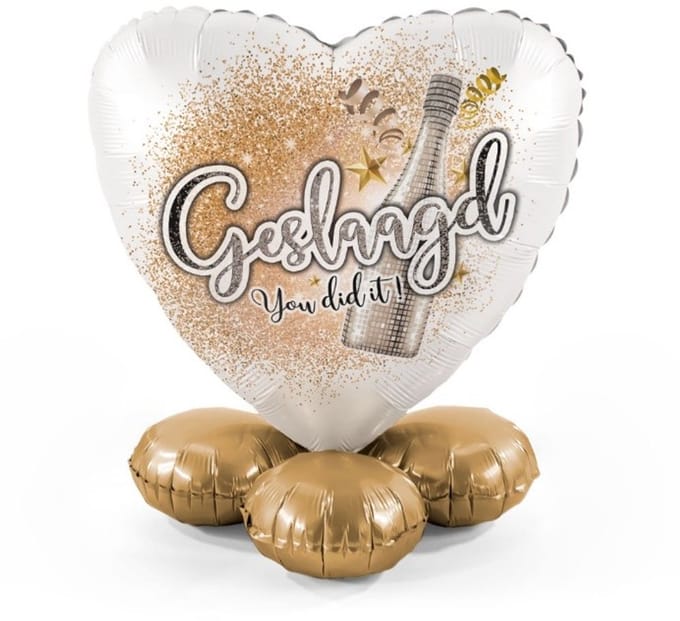Geslaagd - yes you did it - Ballonnen set met standaard - Everloon