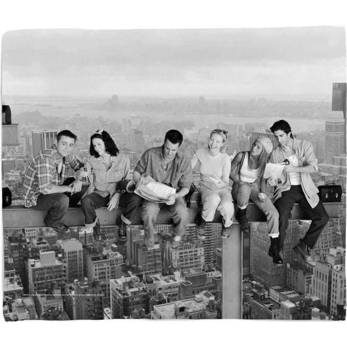 Friends Crane Fleece Blanket - Large (150cm x 200cm)