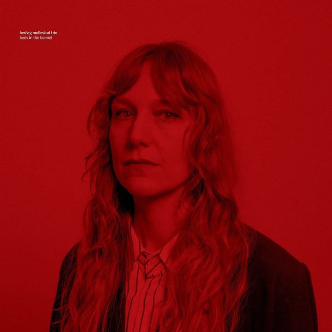 Hedvig Mollestad - Bees In The Bonnet (LP)