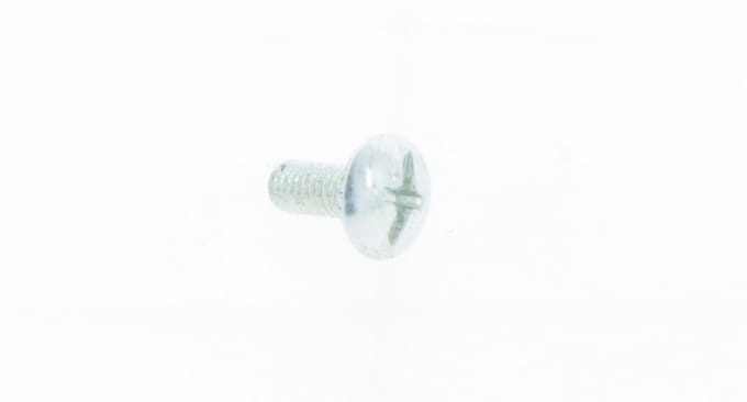 Screw