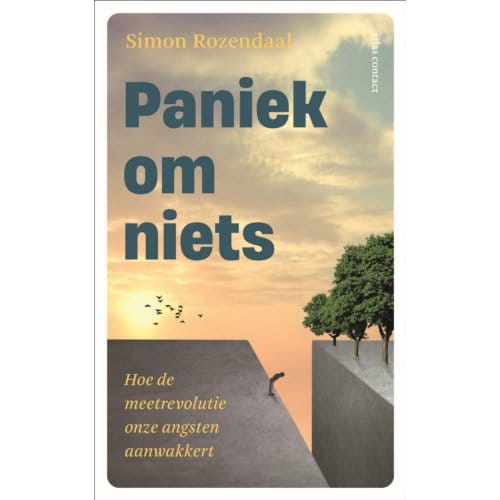 Paniek Om Niets - Simon Rozendaal