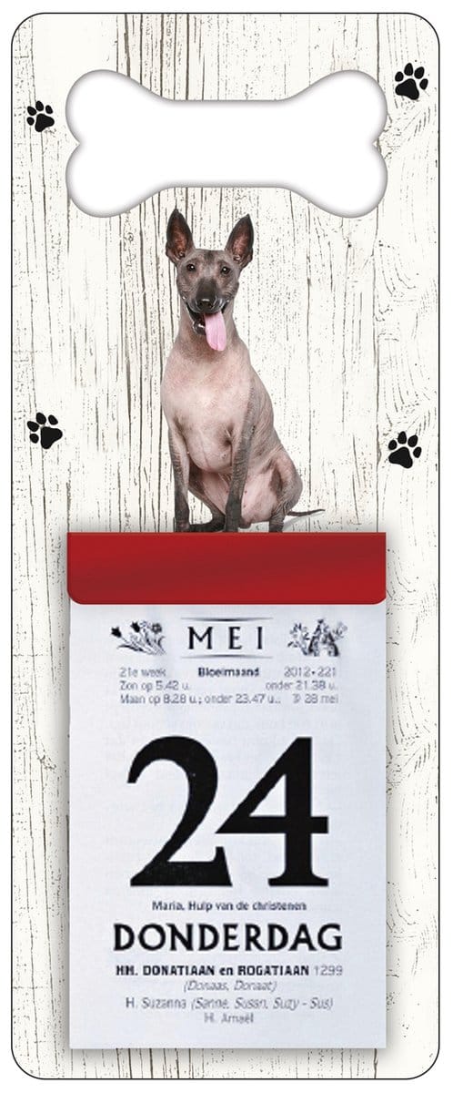 Scheurkalender 2027 Hond: Mexicaanse Naakthond