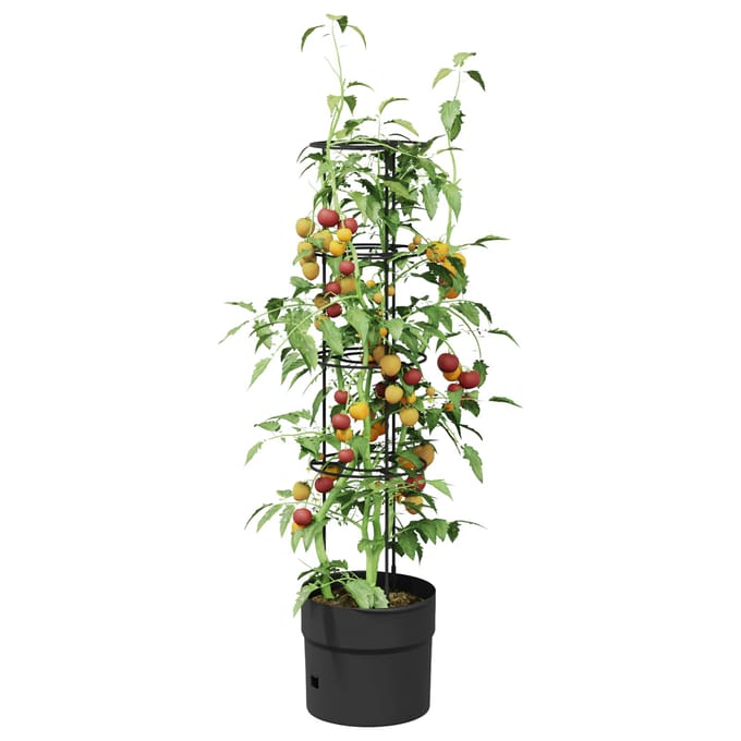 vidaXL - Tomatenteler - Zwart - Ø - 32 - x - 127 - cm - PP