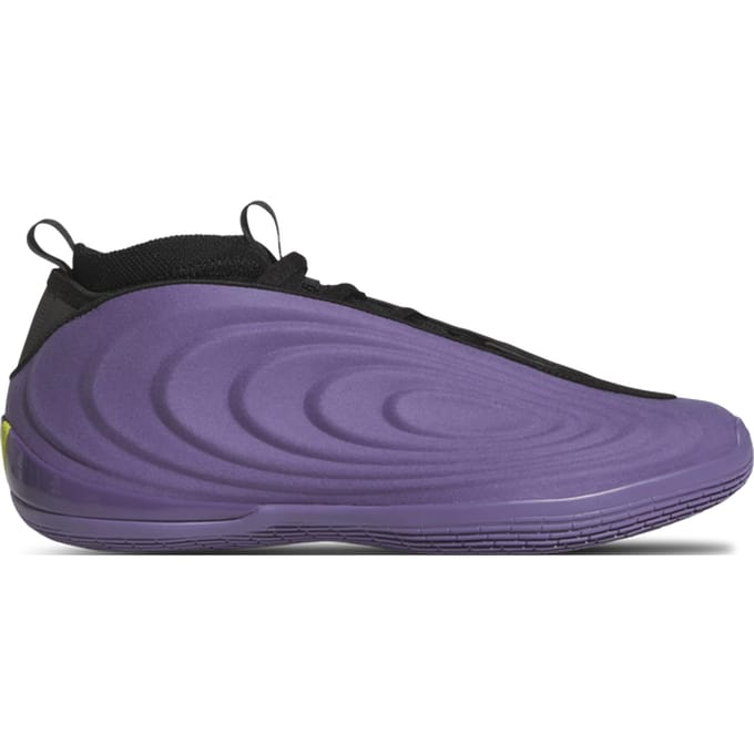 Basketbalschoenen adidas Harden Volume 10 Tech Purple