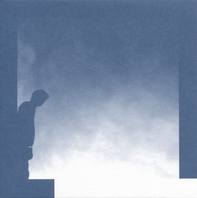 David Allred - The Transition (LP)