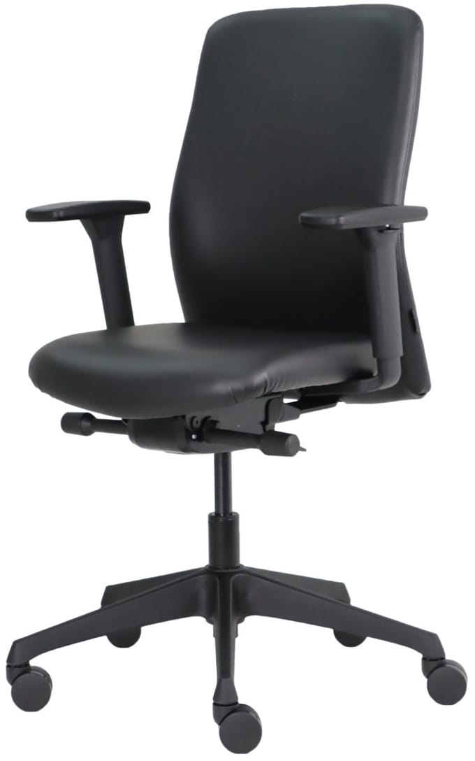 Office Hero® - Pharaoh ergonomische bureaustoel - Verstelbaar - Gemonteerd geleverd