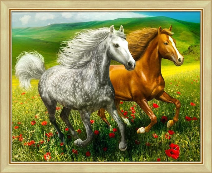 Paarden op de weide 50cm x 40cm