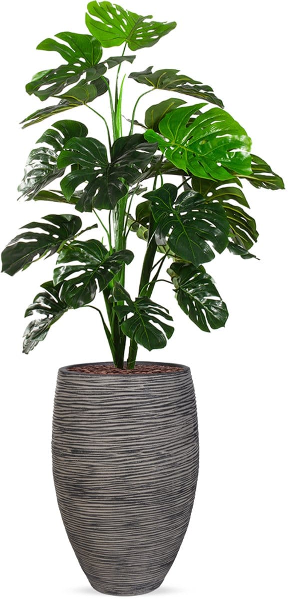 Kunstplant Monstera in Vaas elegant Deluxe rib antraciet H160 cm