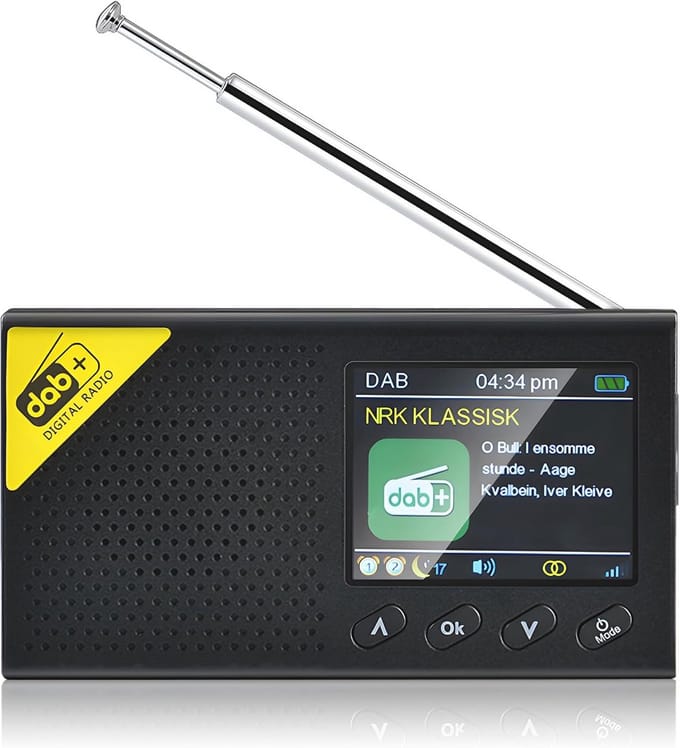 Draagbare Oplaadbare Dab/Dab+/FM Radio met Bluetooth en Klokfunctie