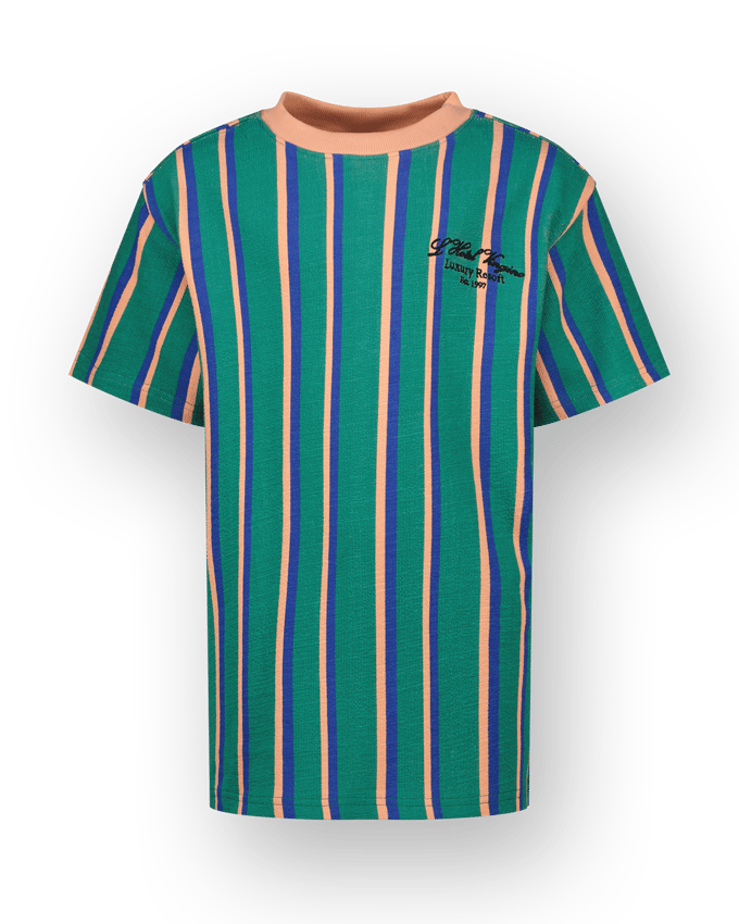 Vingino Hiper Jongens T-shirt - Ivy