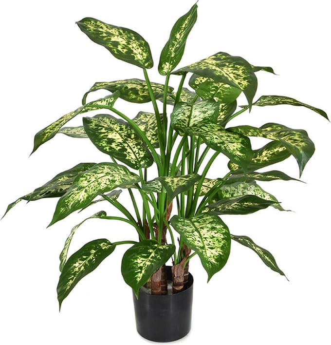 Dieffenbachia deluxe kunstplant 60cm