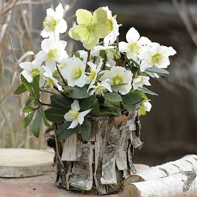 Ambiente - Lunch servetten - White Christmas rose