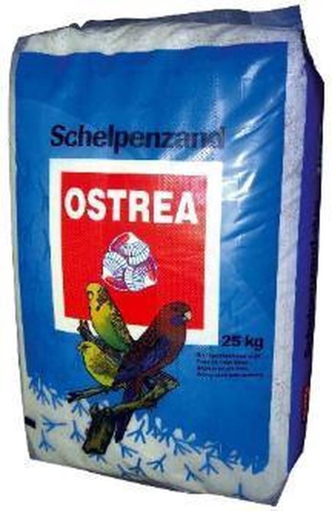 Ostrea Vogelzand